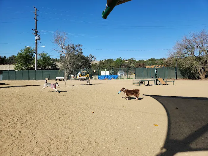 South Pawsadena Dog Park 10