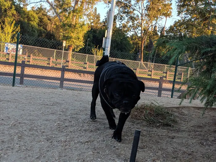 South Pawsadena Dog Park 9