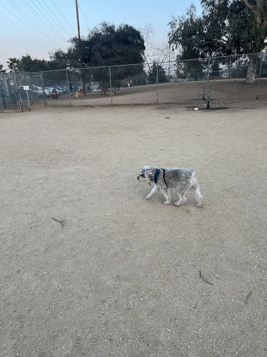 Griffith Park Dog Park 3