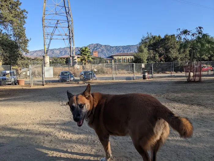 Griffith Park Dog Park 1