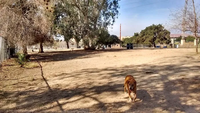 Griffith Park Dog Park 2