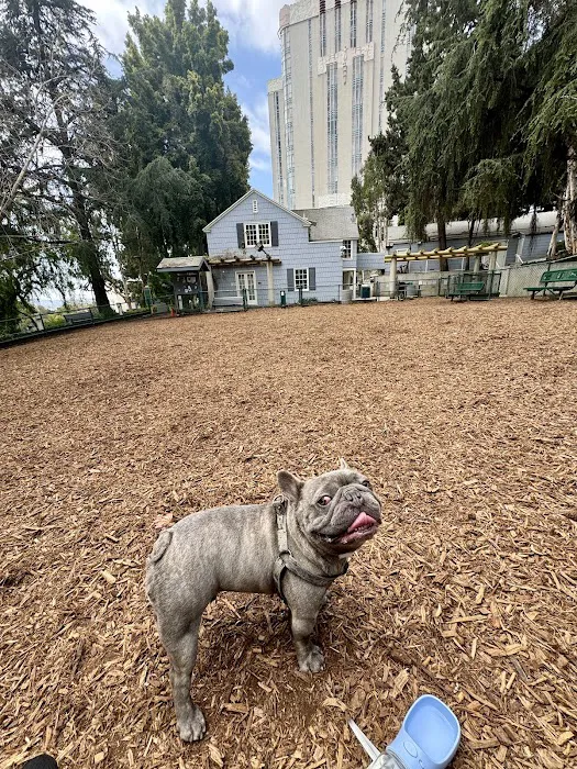 William S Hart Dog Park 5