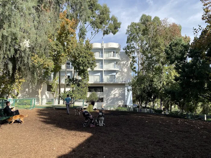 William S Hart Dog Park 6