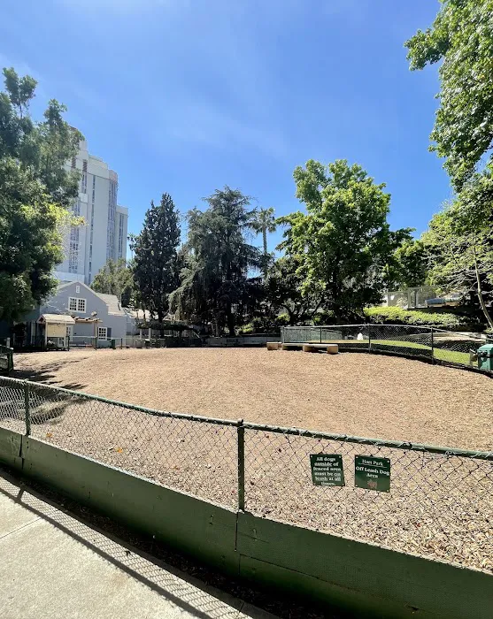 William S Hart Dog Park 7