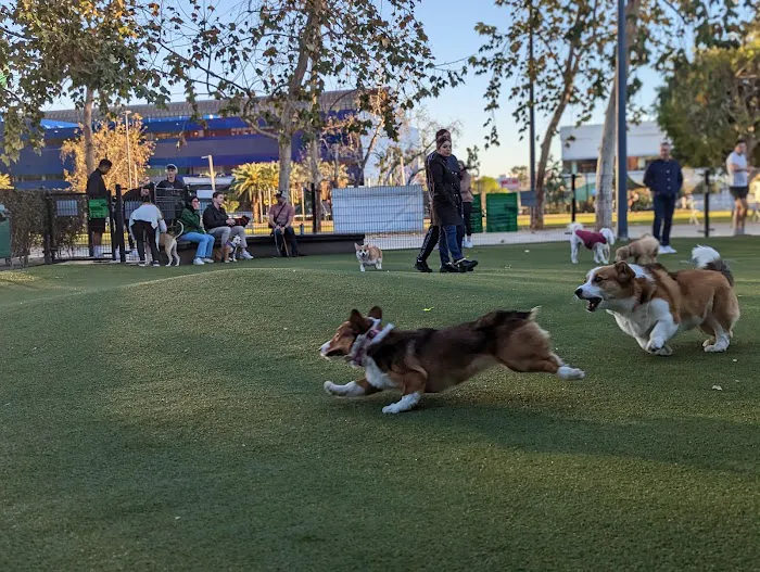 West Hollywood Small Dog Park 5