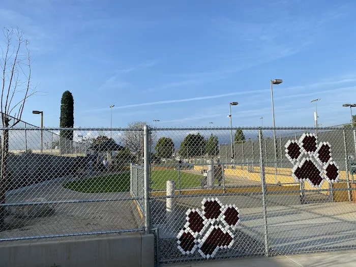Garvey Paws Dog Park 6