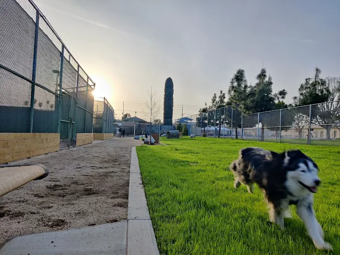 Garvey Paws Dog Park 7