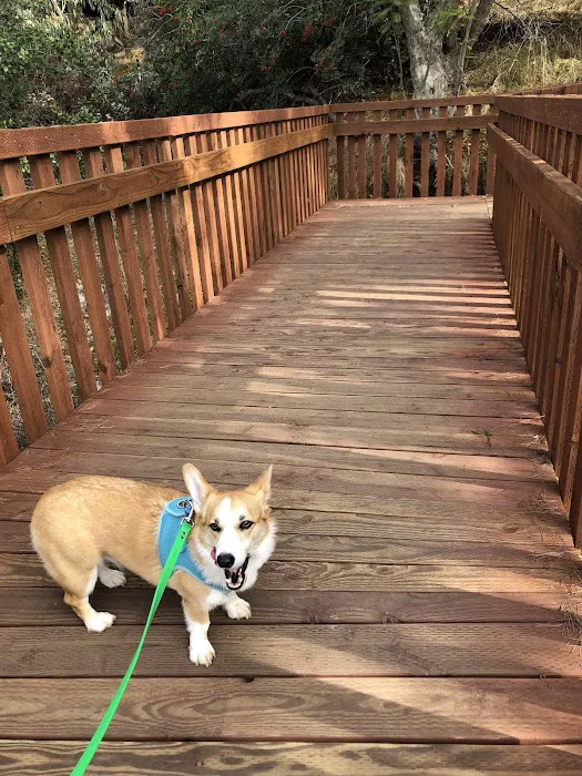 Boneyard Dog Park 3