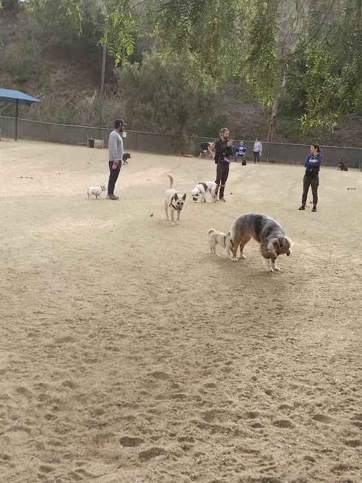 Boneyard Dog Park 2
