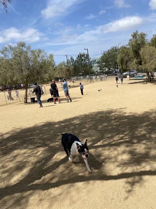Boneyard Dog Park 6