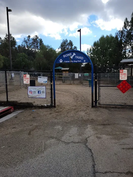 Boneyard Dog Park 7