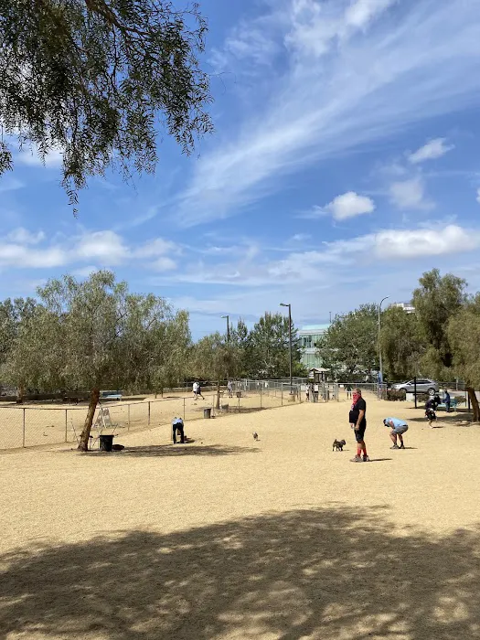 Boneyard Dog Park 5