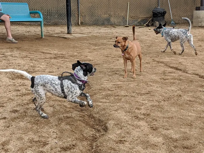 Boneyard Dog Park 8