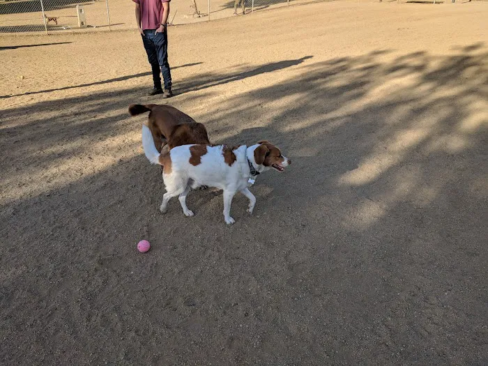 Boneyard Dog Park 9