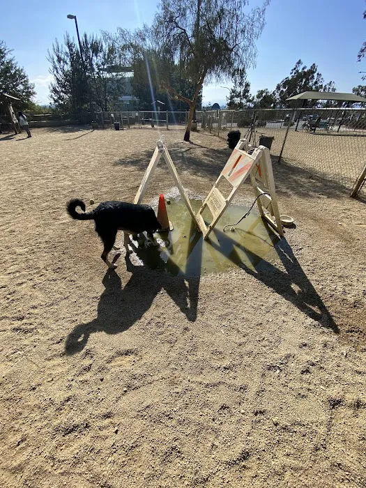 Boneyard Dog Park 10