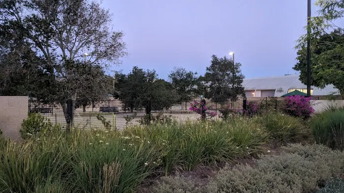 Beverly Hills Dog Park 3