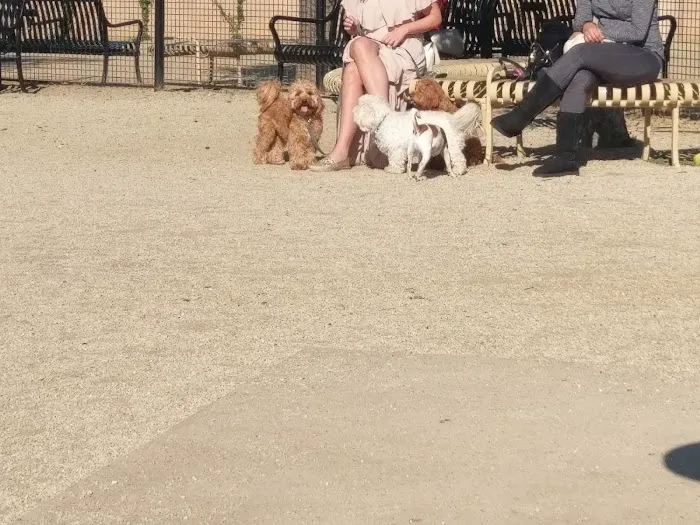 Beverly Hills Dog Park 2