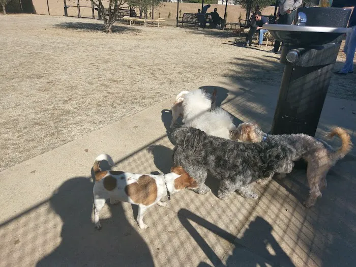 Beverly Hills Dog Park 1