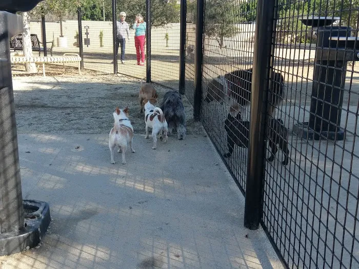 Beverly Hills Dog Park 7
