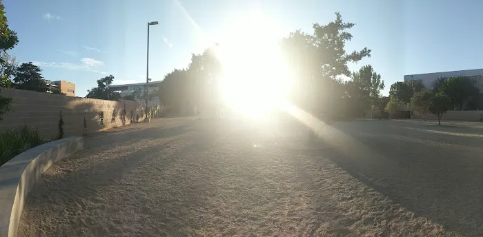 Beverly Hills Dog Park 6