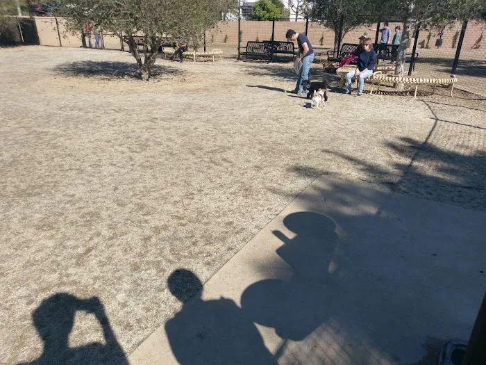 Beverly Hills Dog Park 5