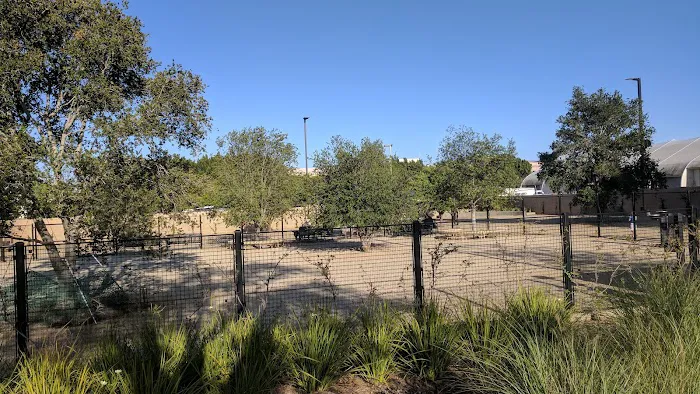 Beverly Hills Dog Park 8