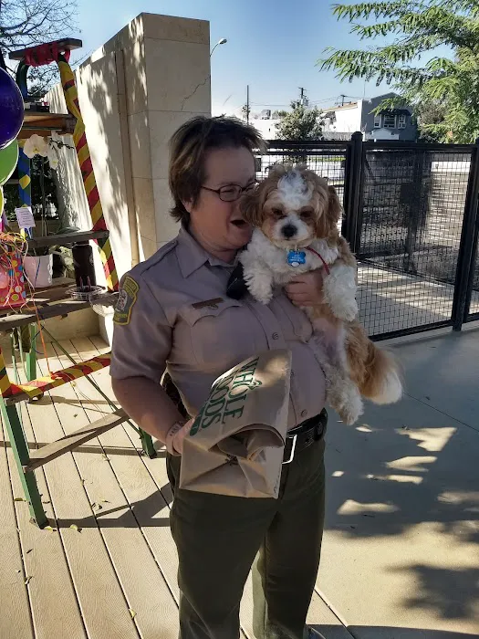 Beverly Hills Dog Park 9