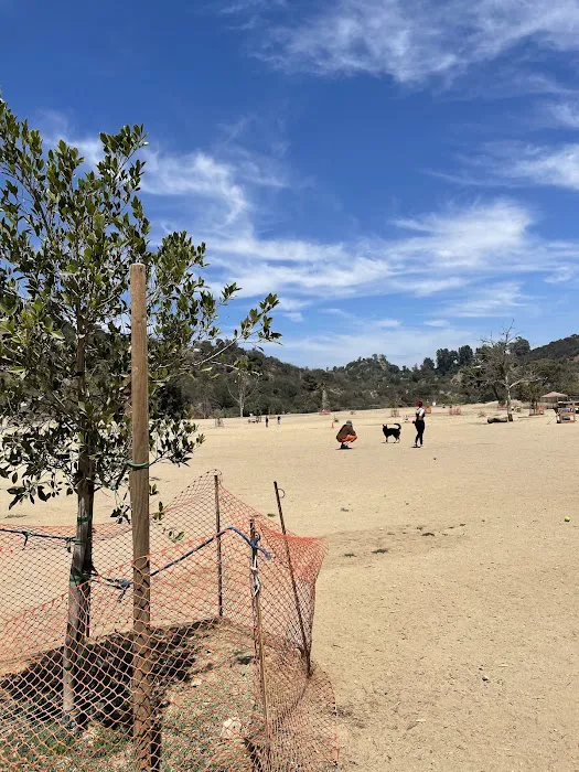 Laurel Canyon Dog Park 2