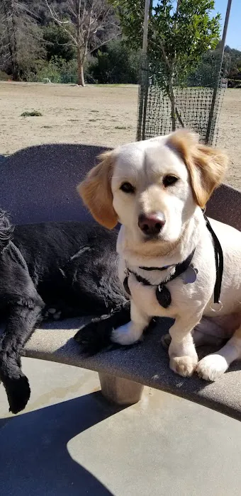 Laurel Canyon Dog Park 1