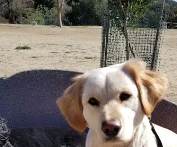 Laurel Canyon Dog Park