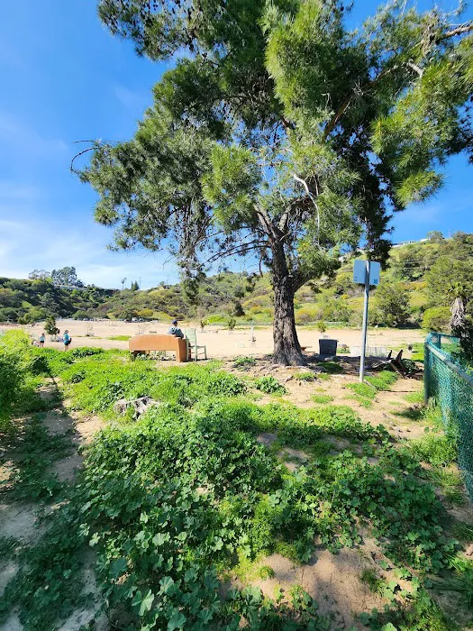 Laurel Canyon Dog Park 9
