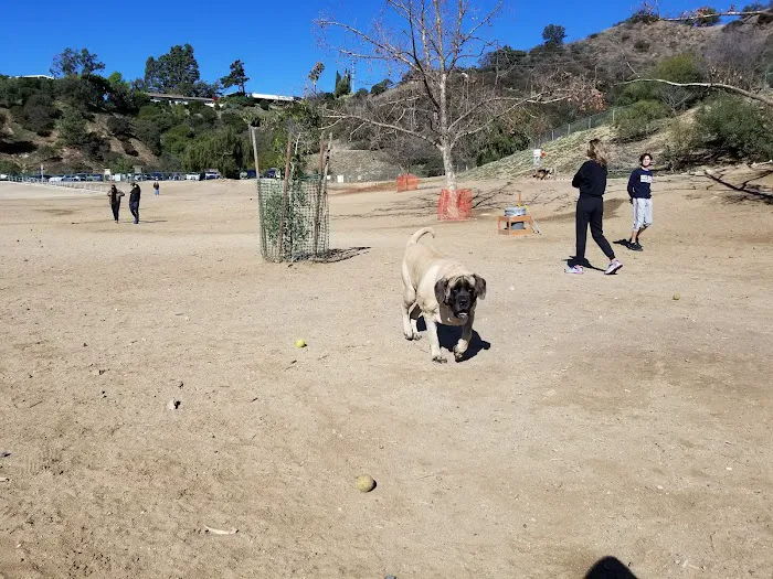 Laurel Canyon Dog Park 8