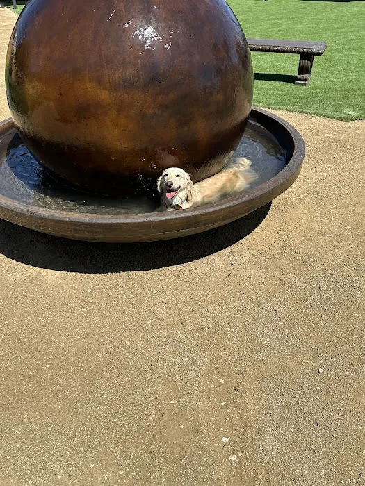 St. Barks 7