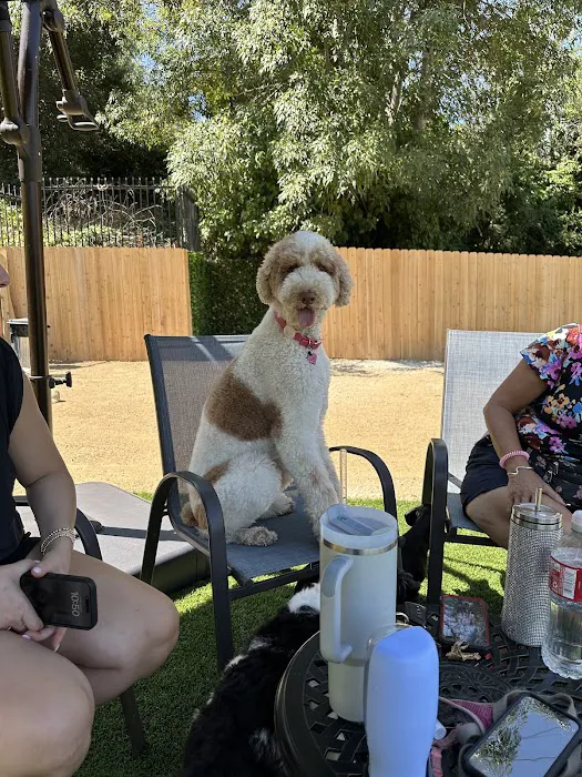 St. Barks 1
