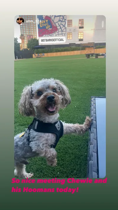 St. Barks 5