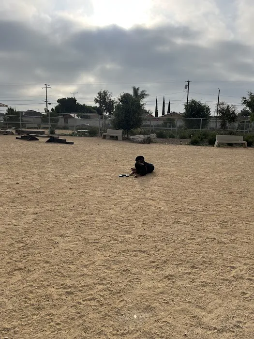 Magic Johnson dog park 1