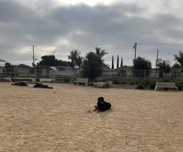Magic Johnson dog park