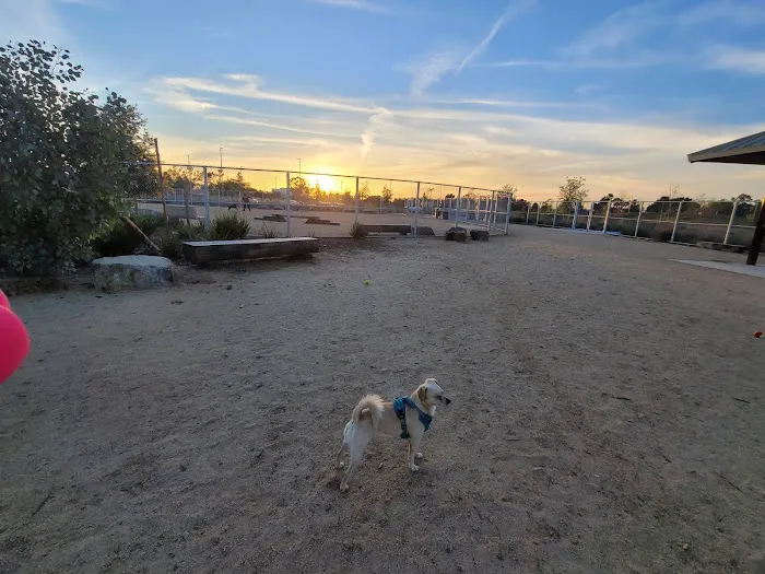 Magic Johnson dog park 2