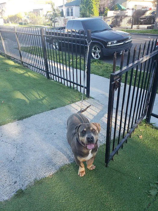 Magic Johnson dog park 10