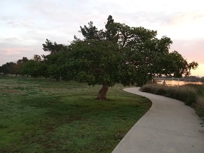 Magic Johnson dog park 6