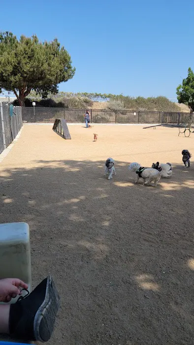 Hollydale Dog Park 1