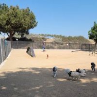 Hollydale Dog Park ico