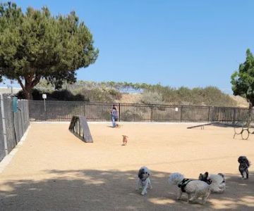 Hollydale Dog Park