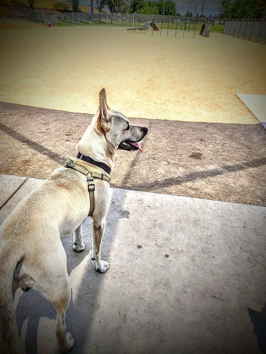 Hollydale Dog Park 2