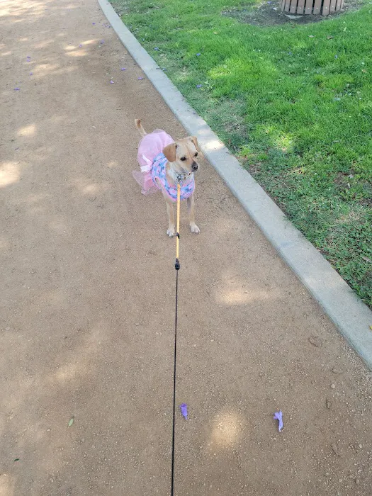 Hollydale Dog Park 3