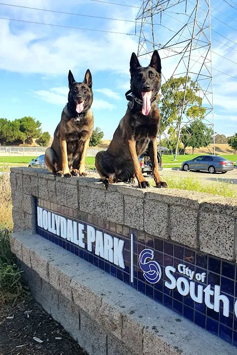 Hollydale Dog Park 10