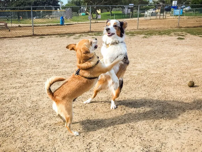 Dog park at Wayne’s Way & Shared Dr 9