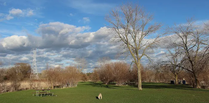 Dog park at Wayne’s Way & Shared Dr 6
