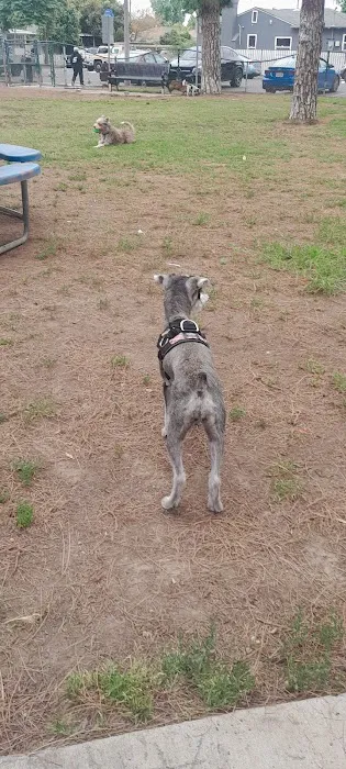 Coolidge Dog Park 6