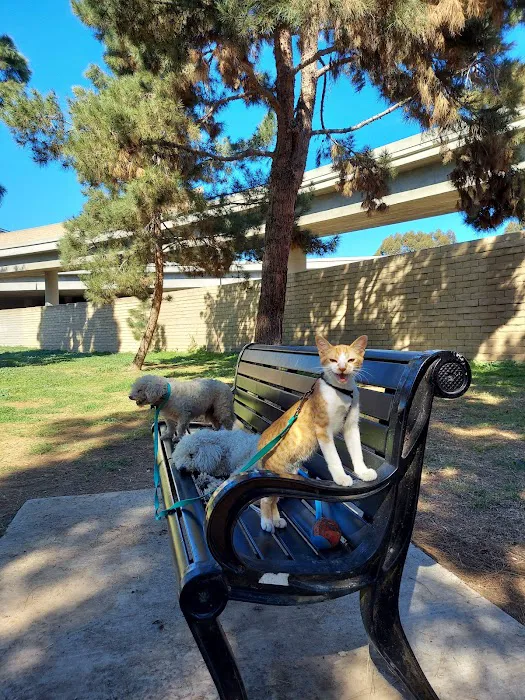 Coolidge Dog Park 9